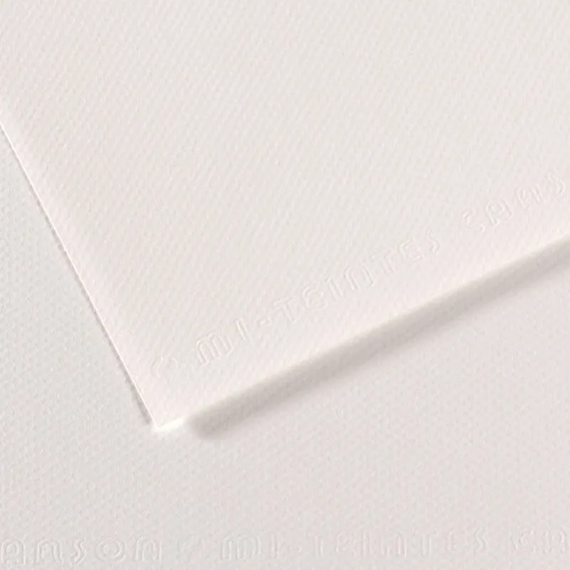 Canson Fon Kart.50x65 160 Gr.335