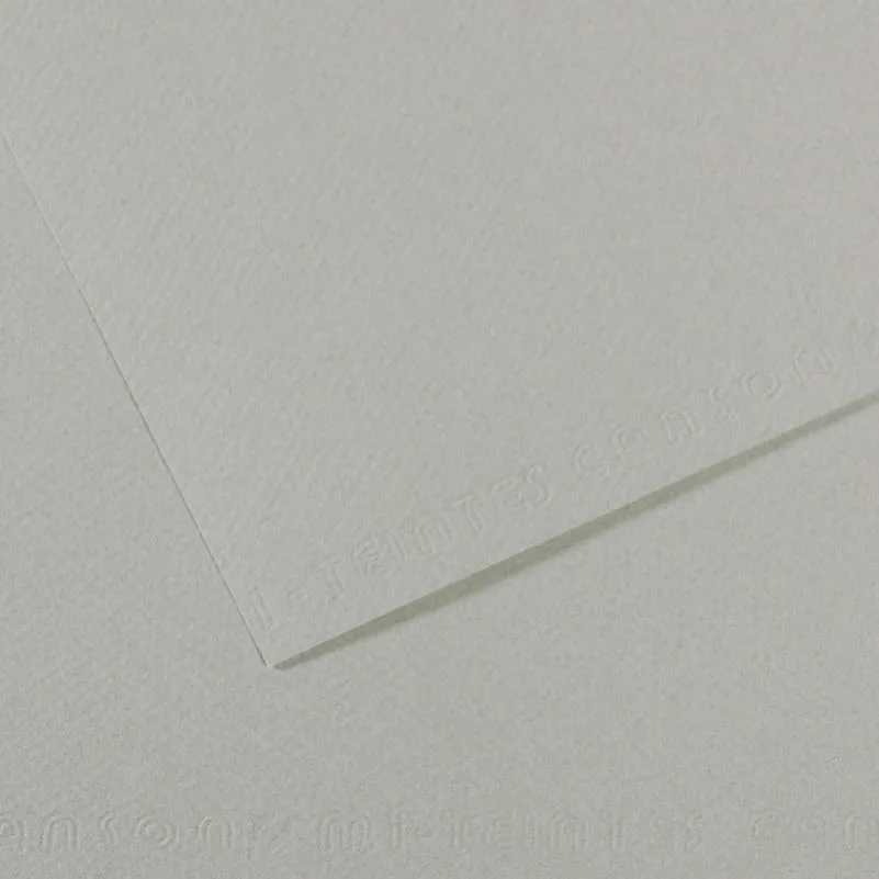 Canson Fon Kart.50x65 160 Gr 354