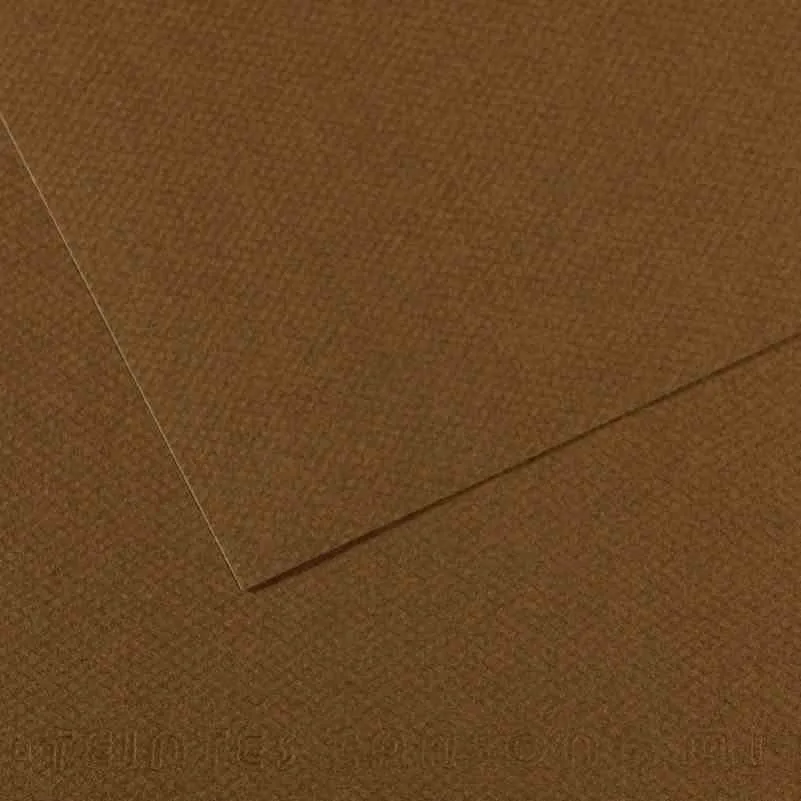 Canson Fon Kart.50x65 160 Gr 501