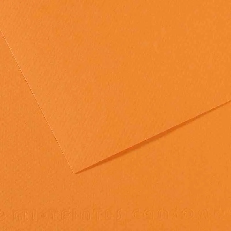 Canson Fon Kart.50x65 160 Gr 384
