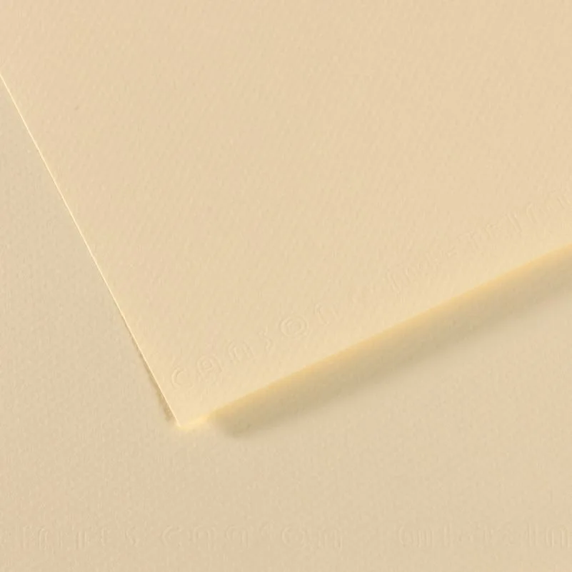 Canson Fon Kart.50x65 165 Gr 101
