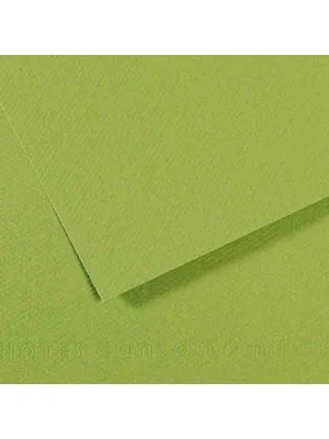 Canson Fon Kart.50x65 160 Gr 475