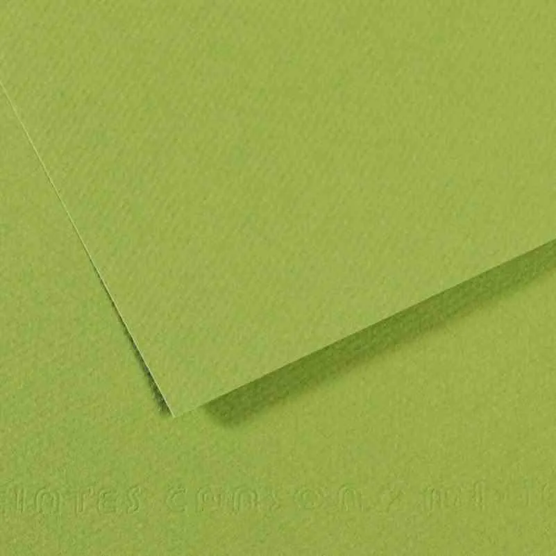 Canson Fon Kart.50x65 160 Gr 475