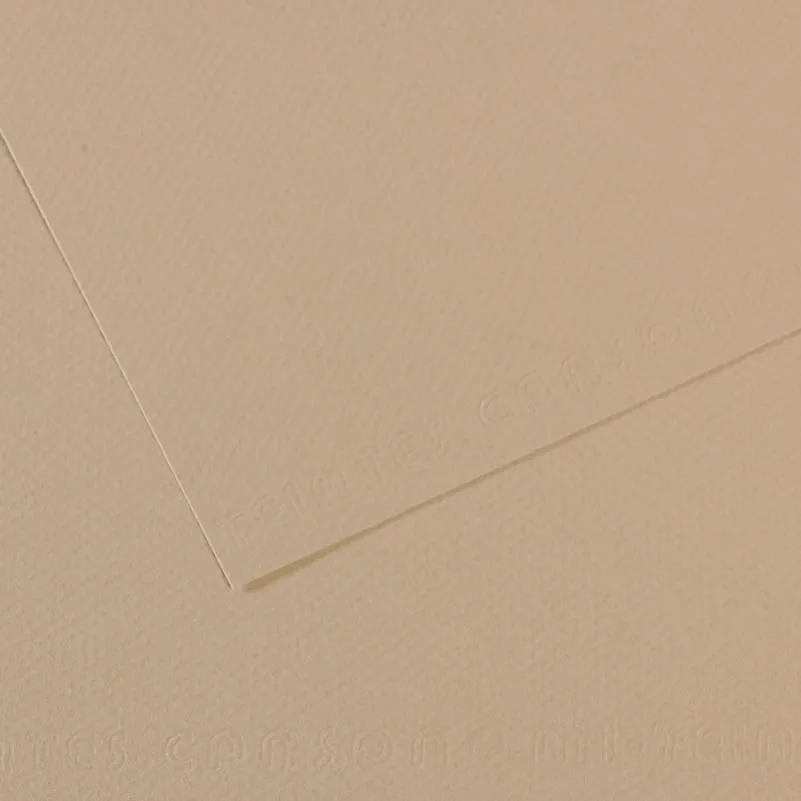 Canson Fon Kart.50x65 160 Gr 343