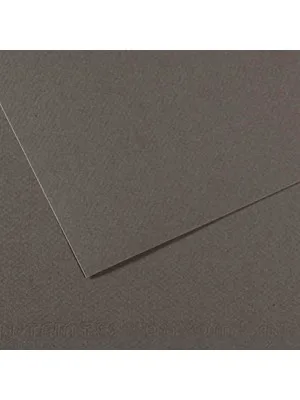 Canson Fon Kart.50x65 160 Gr 345