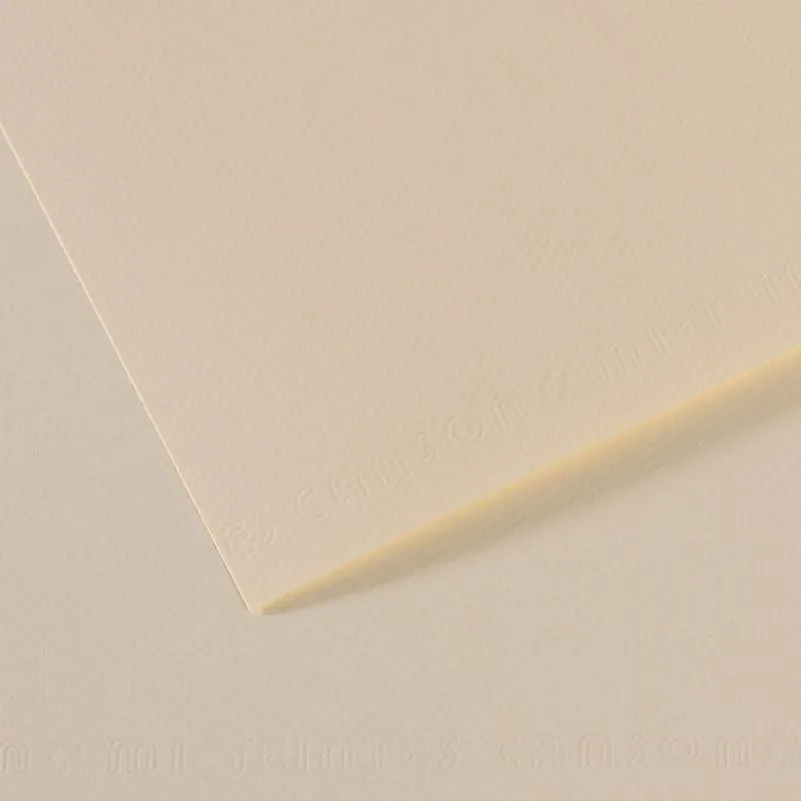 Canson Fon Kart.50x65 165 Gr 110