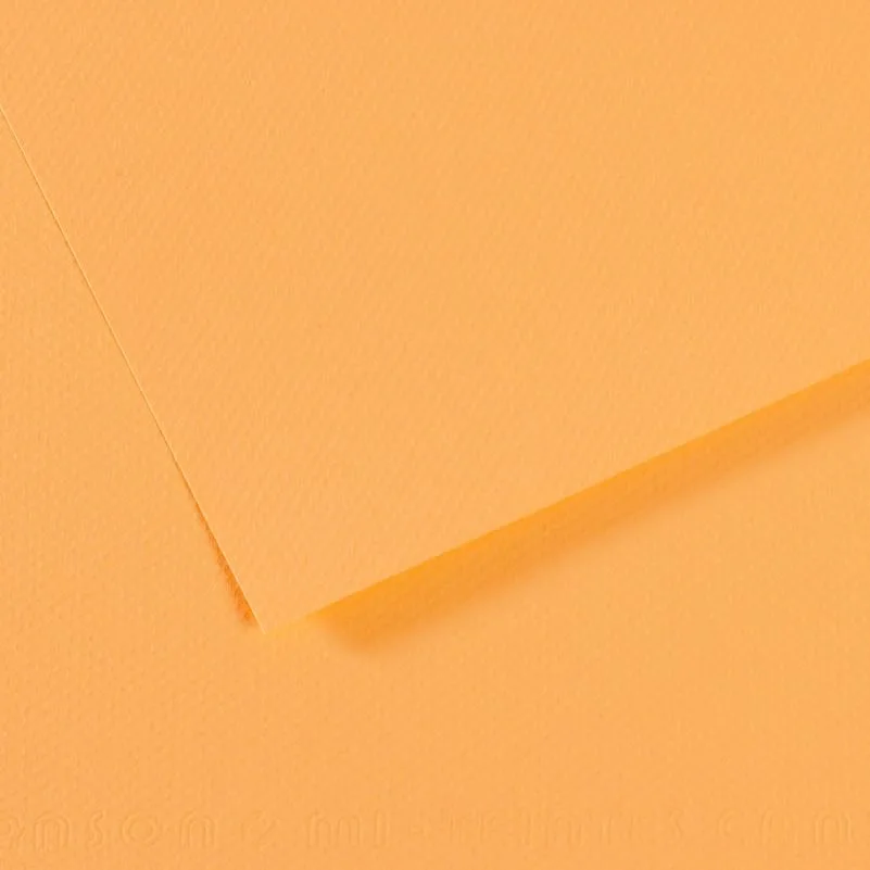 Canson Fon Kart.50x65 165 Gr 470