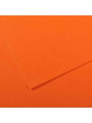 Canson Fon Kart.50x65 160 Gr 453