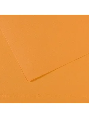 Canson Fon Kart.50x65 160 Gr 374