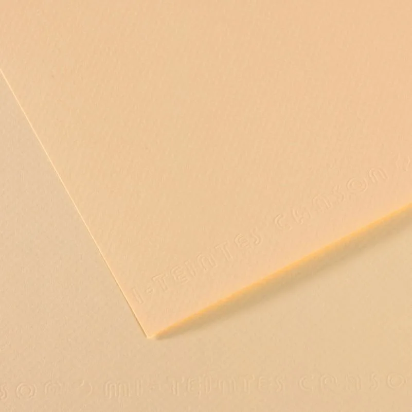 Canson Fon Kart.50x65 165 Gr 111