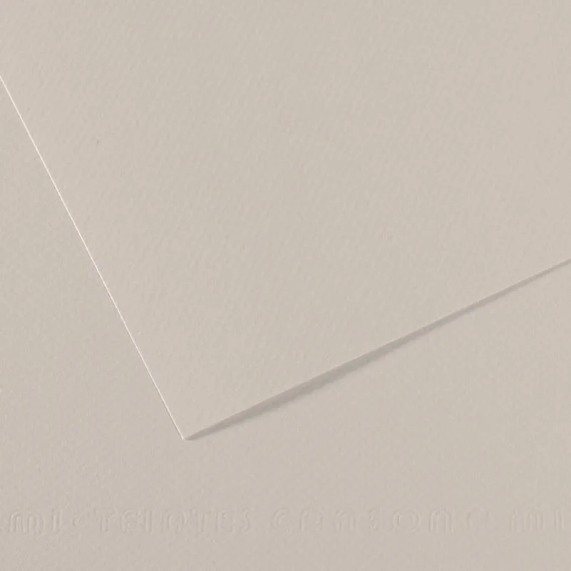 Canson Fon Kart.50x65 165 Gr 120
