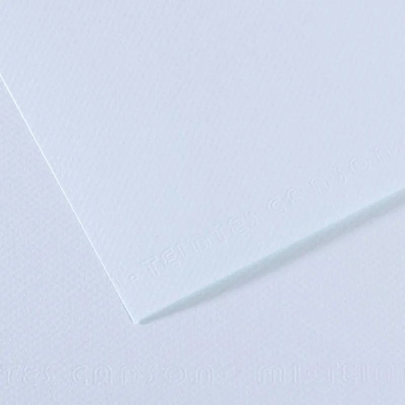 Canson Fon Kart.50x65 160 Gr 102