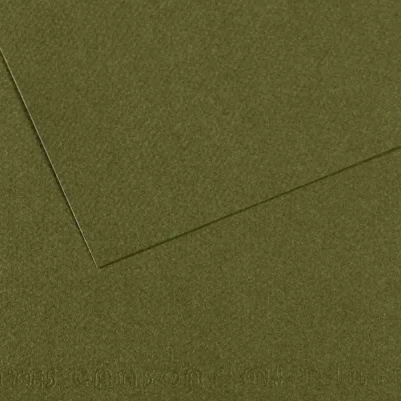 Canson Fon Kart.50x65 165 Gr 448
