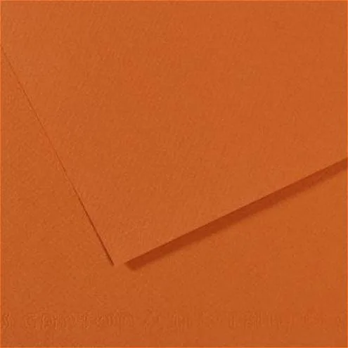 Canson Fon Kart.50x65 165 Gr.504