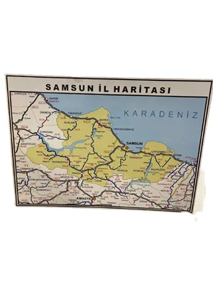 Unıversal 50x70 Samsun İl Haritası