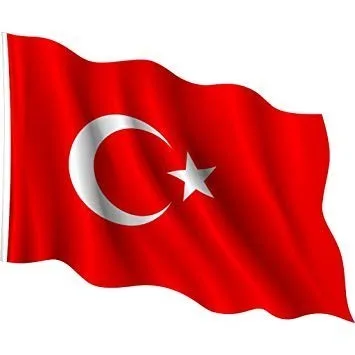 Vatan Dalgalı Türk Bayrağı Arması