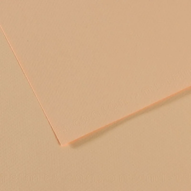 Canson Fon Kart.50x65 165 Gr.350