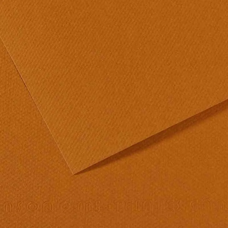 Canson 50x65 160 Gr Fon Kartonu Havane Clair 502