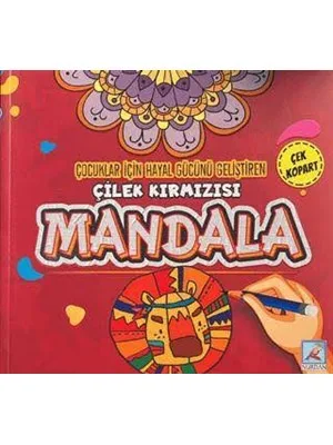 Buz Mavisi Mandala (çocuklar İçin) - Nurdan Yayınları