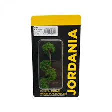 Jordania 1\100 5.5 Cm Ağaç 3"lü Yeşil Je03p-127055