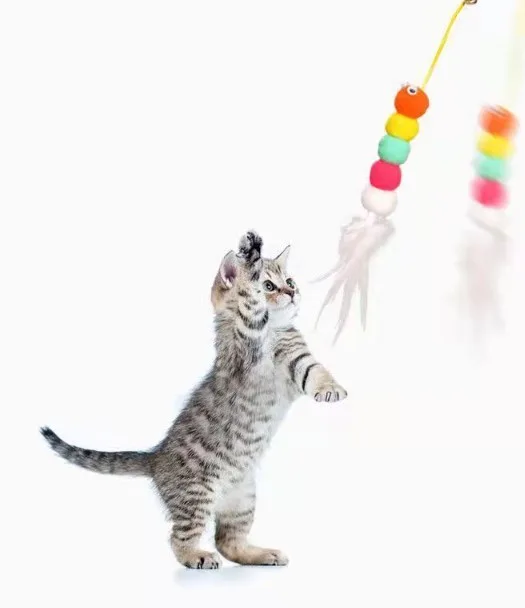 Elastik Yapışkanlı Kedi Oyun Oltası