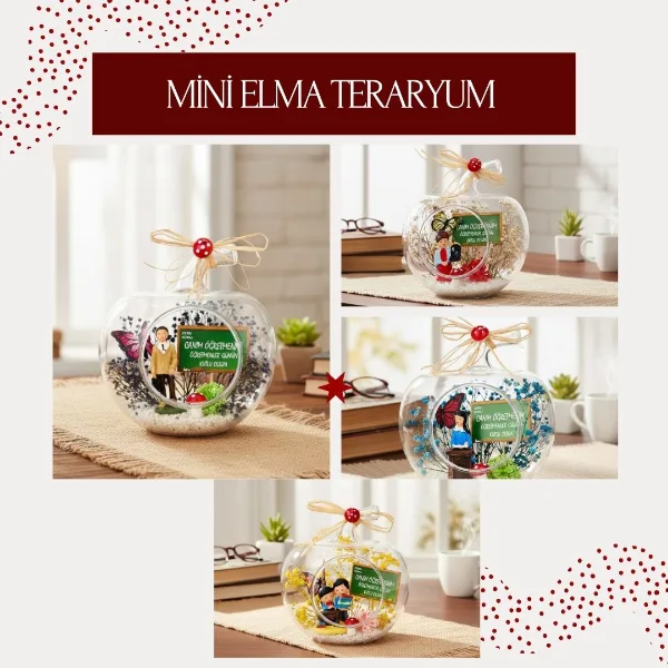 Mini Elma Teraryum - Öğretmenler Günü Hediyesi