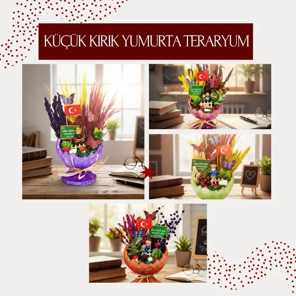 Küçük Kırık Yumurta Teraryum - Öğretmenler Günü Hediyesi