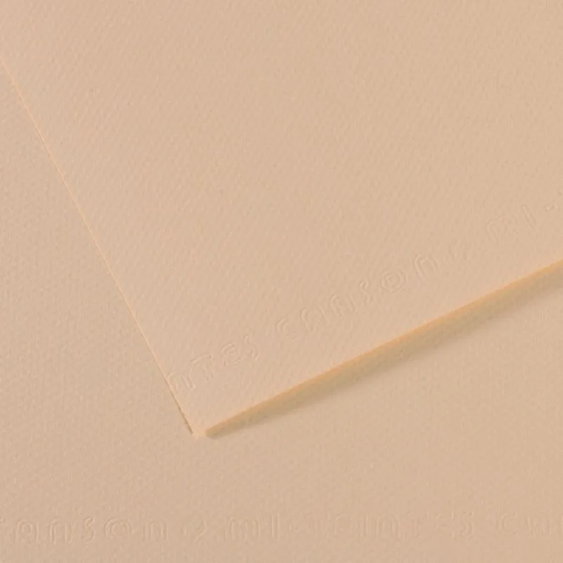 Canson Fon Kart.50x65 165 Gr 112