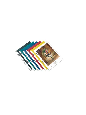 Comix A4 Sıkıştırmalı Dosya Qw324a Şeffaf