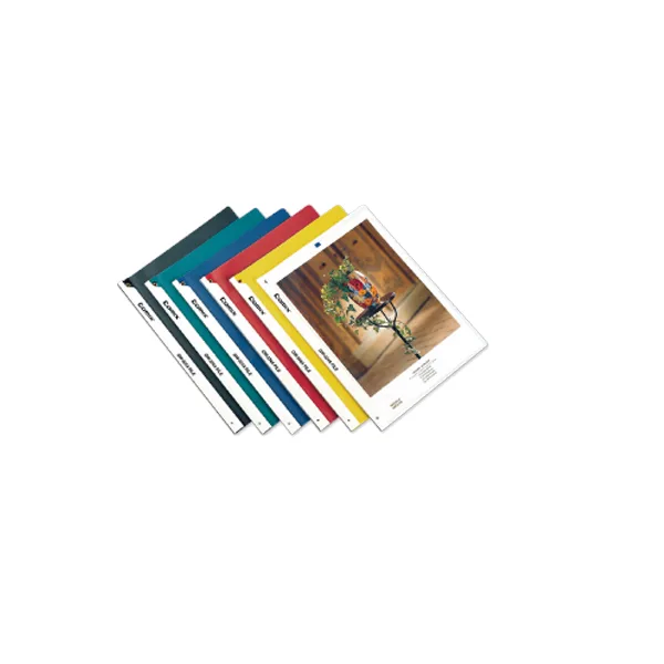 Comix A4 Sıkıştırmalı Dosya Qw324a Şeffaf
