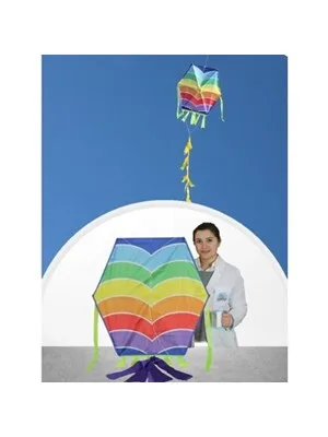 Gülen 73x73 Cm Naylon Altıgen Uçurtma Ghn-002