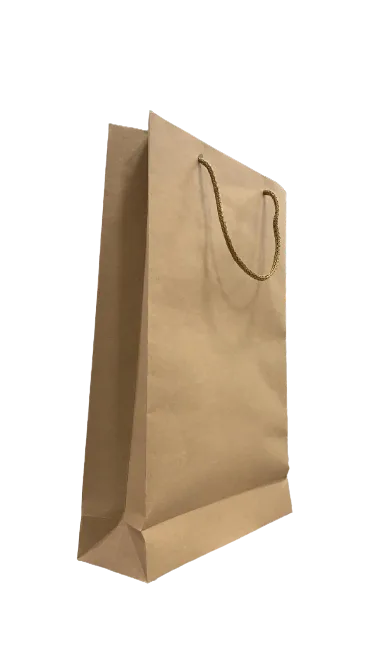 Nedi 26x38 Cm İp Saplı Kraft Karton Çanta