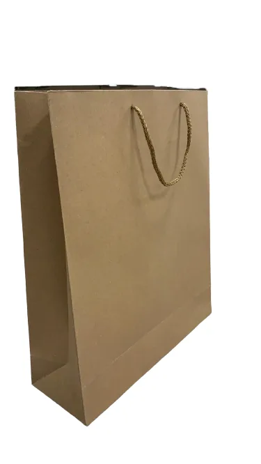Nedi 35x42 Cm İp Saplı Kraft Karton Çanta