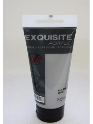 Vıncent Exquısıte 75 Ml Akrilik Boya Silver 800