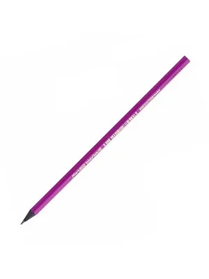Bic Miss Evo Kurşun Kalem 901737