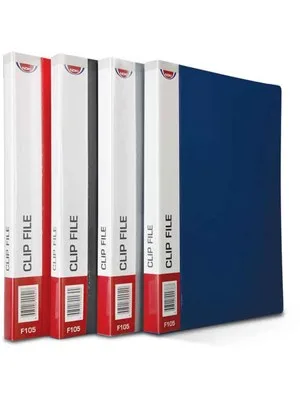 Noki Mat Sıkıştırmalı Dosya M.renkler F105