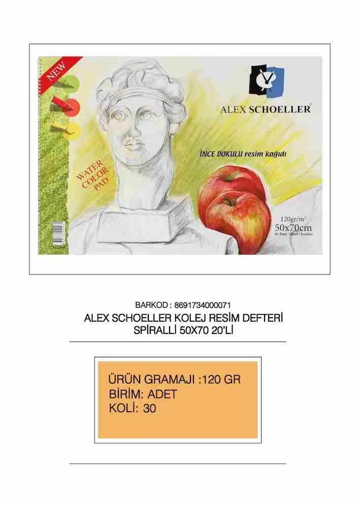Alex Schoeller 50x70 Resim Defteri 20"li 120 Gr Alx-895