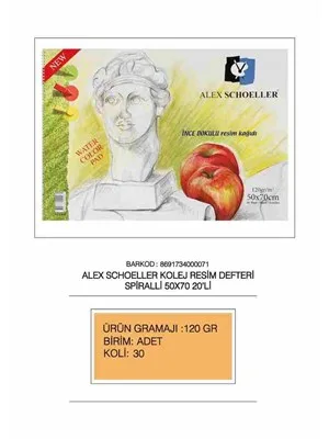 Alex Schoeller 50x70 Resim Defteri 20"li 120 Gr Alx-895