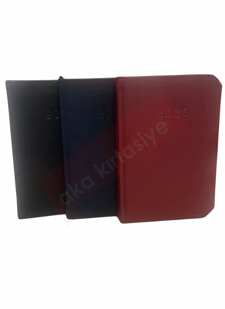 Lizy 14x20 Çizgili Günlük Ajanda S.deri Aj922e (2026)