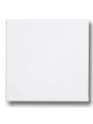 Aka 40x40 Cm Çerçeveli Tuval