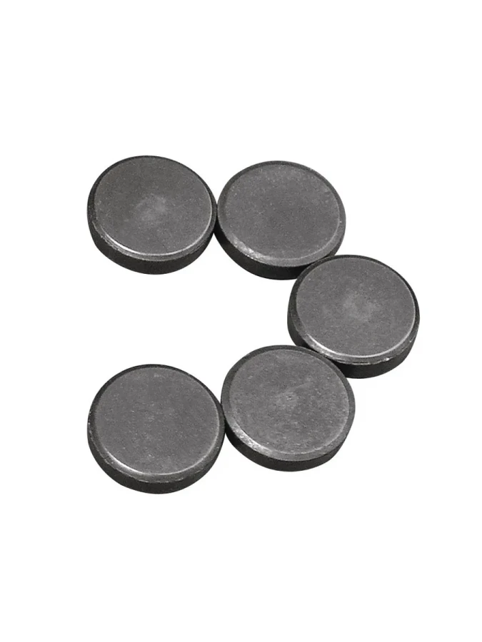 Nurgün 20 Mm Para Mıknatıs