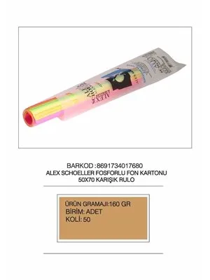 Alex Schoeller 50x70 Fon Kartonu 160 Gr 10"lu Fosforlu Karışık Renk 011.62