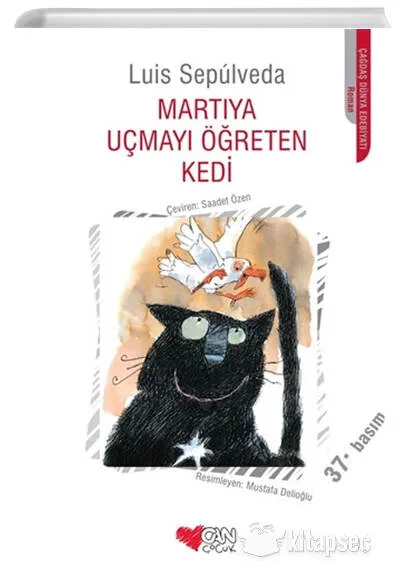 Martıya Uçmayı Öğreten Kedi - Can Sanat Yayınları