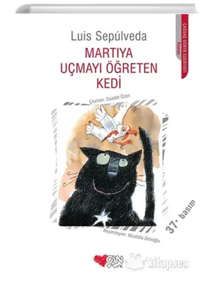 Martıya Uçmayı Öğreten Kedi - Can Sanat Yayınları