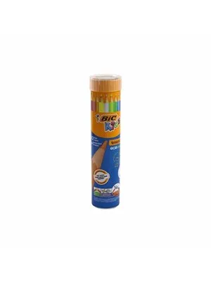 Bic Eco Evolutıon Metal Tüp Kuruboya 12+1 Lü 958192