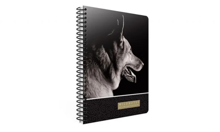 Gıpta Wıld 19x26 Sert Kapak Spiralli Defter Çizgili 120\1 3297