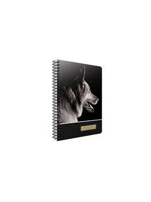 Gıpta Wıld 19x26 Sert Kapak Spiralli Defter Çizgili 120\1 3297