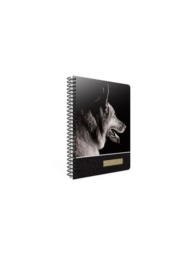 Gıpta Wıld 19x26 Sert Kapak Spiralli Defter Çizgili 120\1 3297