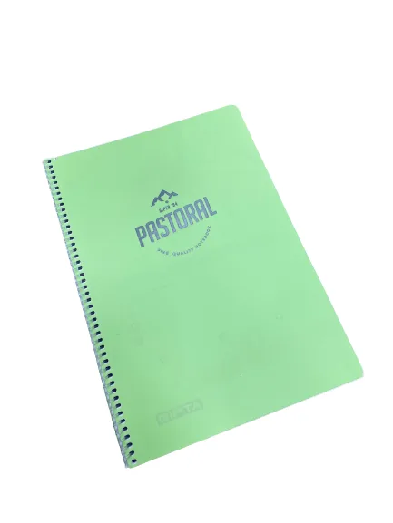 Gıpta Pastoral A4 Pp Kapak Spiralli Defter Kareli 96 Yp 3245