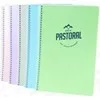 Gıpta Pastoral A4 Pp Kapak Spiralli Defter Kareli 96 Yp 3245